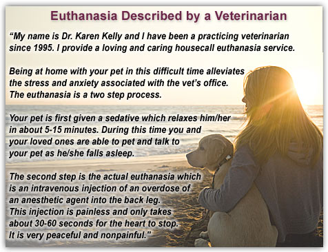 euthanasia quotes pet quote veterinary vet medicine helpful quotesgram fellow veterinarians experience many years non